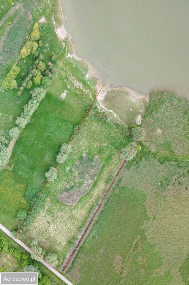 Działka inwestycyjna Suchacz. Zdjęcie 9