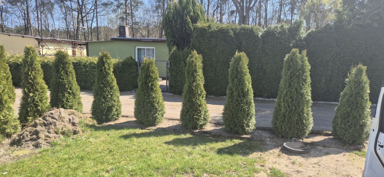 Działka rod Sieraków, ul. Wroniecka. Zdjęcie 4
