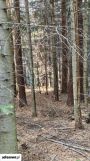 Działka leśna Wronowice. Zdjęcie 4