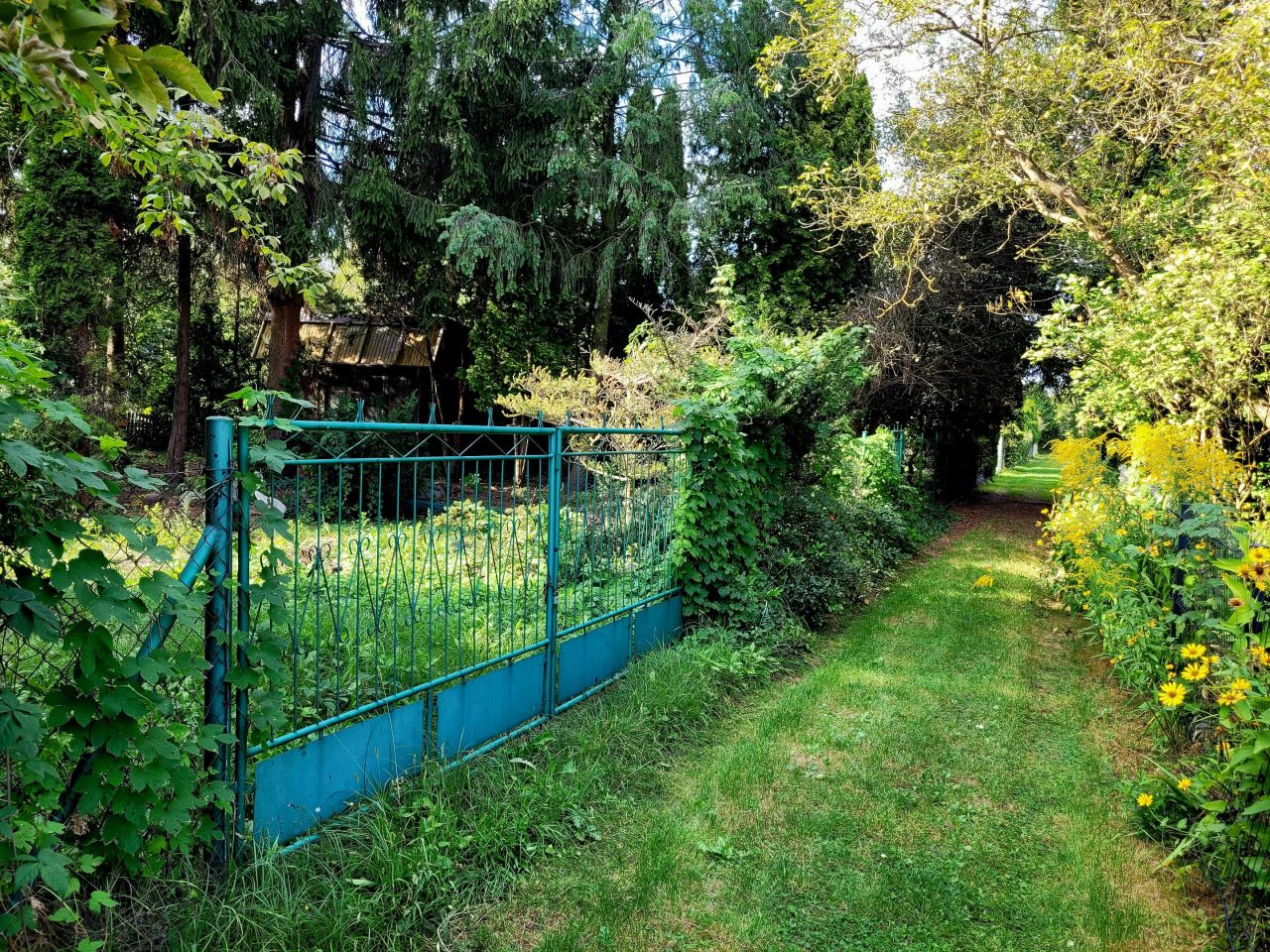 Działka rod Warszawa Mokotów, ul. Augustówka. Zdjęcie 3