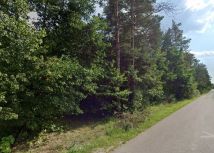 Działka leśna Kurzacze. Zdjęcie 2