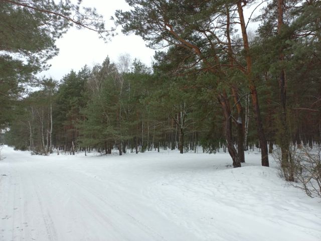 Działka budowlana Otwock Soplicowo, ul. Bernardyńska 32. Zdjęcie 1