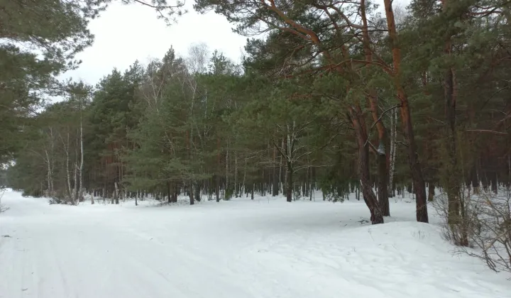 Działka budowlana Otwock Soplicowo, ul. Bernardyńska 32