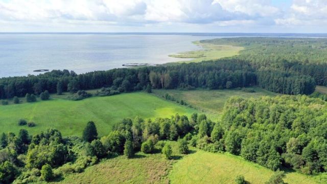 Działka rolna Dziubiele. Zdjęcie 5