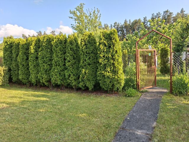 Działka rod Stary Olsztyn. Zdjęcie 1