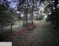Działka rekreacyjna Kiełpiny. Zdjęcie 1