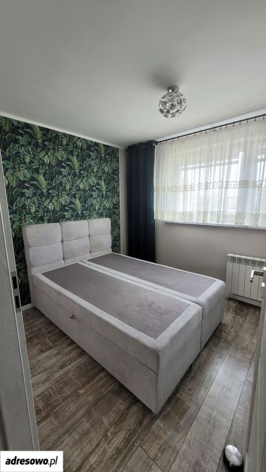 Zdjęcie 3