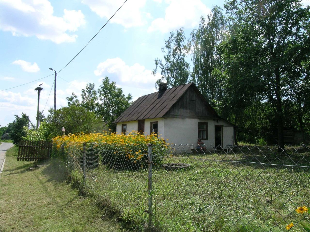Działka siedliskowa Stare Buczyce. Zdjęcie 3