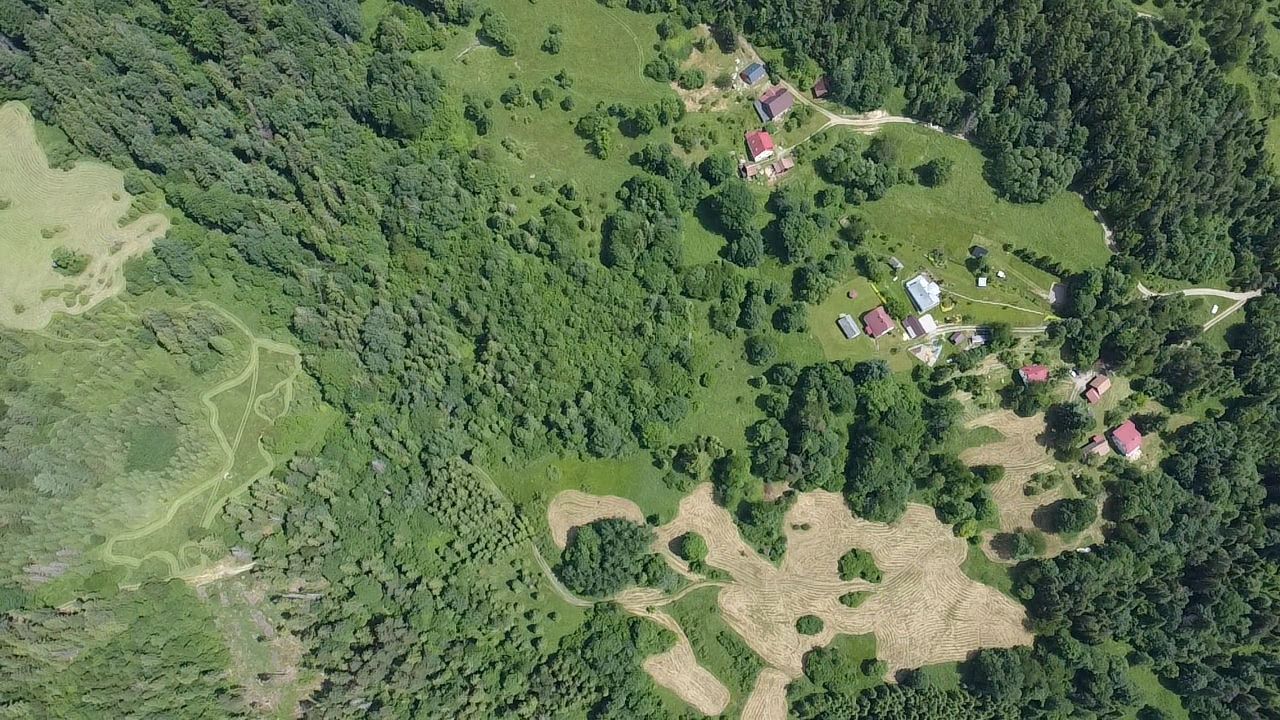 Działka leśna Rycerka Dolna Głębokie. Zdjęcie 2