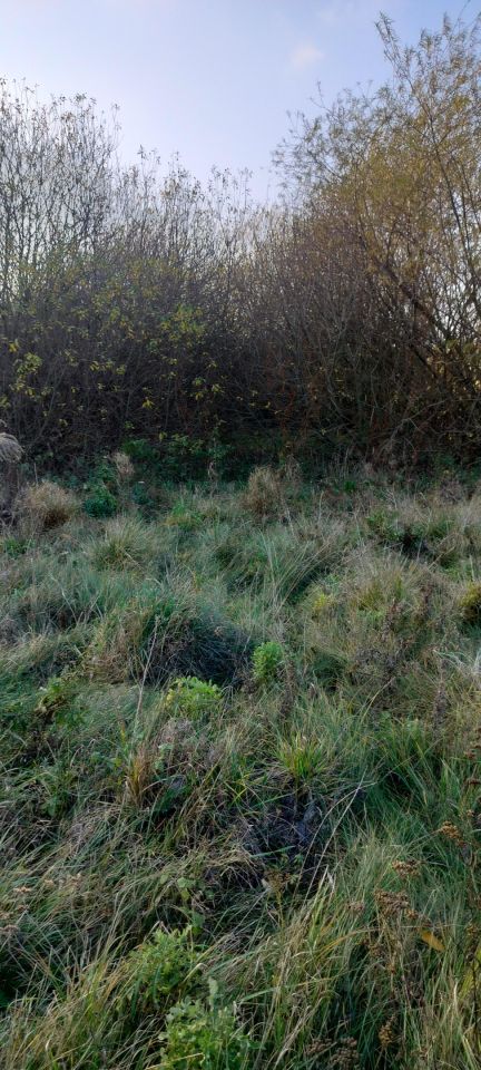 Działka rolno-budowlana Żelechów, ul. Żużlowa. Zdjęcie 6