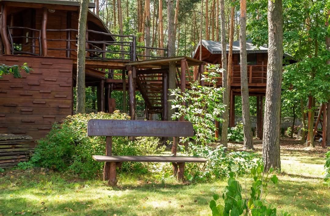 Lokal Brzeziny. Zdjęcie 7