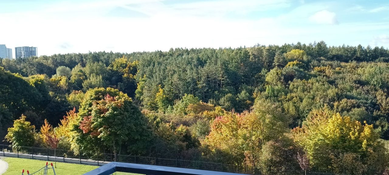 Mieszkanie 1-pokojowe Gdańsk Morena, ul. Magellana. Zdjęcie 3