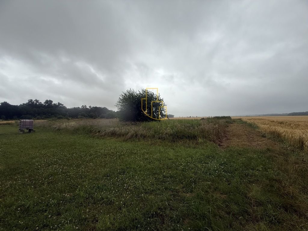 Działka rolna Gniechowice. Zdjęcie 8