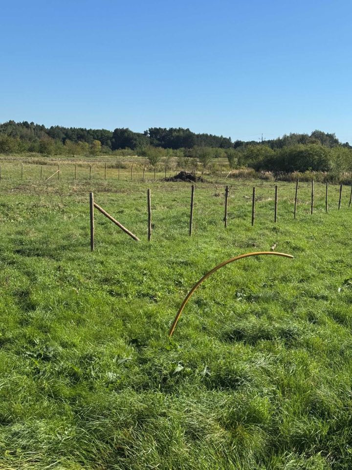 Działka budowlana Tarnobrzeg Miechocin. Zdjęcie 6