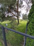 Działka budowlana Rybnik Golejów, ul. Gliwicka. Zdjęcie 3