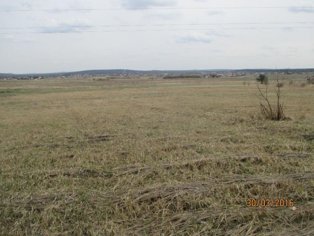 Działka rolno-budowlana Suków. Zdjęcie 1