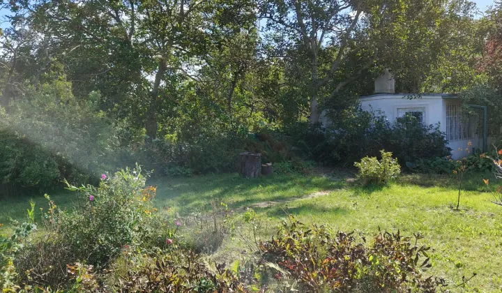 Działka rod Sopot Świemirowo, ul. Mikołaja Reja