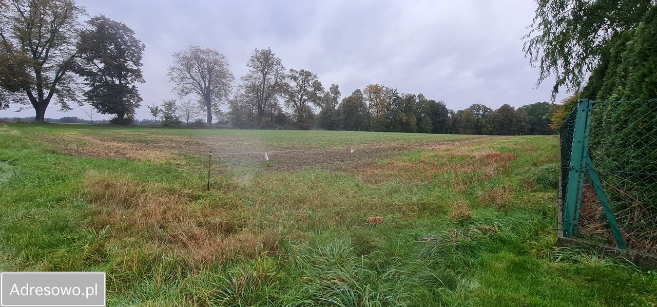 Działka budowlana Dankowice, ul. Do Lipek. Zdjęcie 6