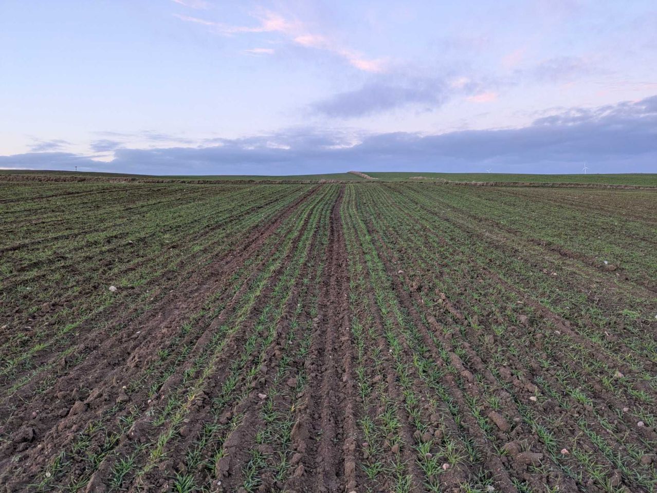 Działka rolna Lubawa. Zdjęcie 3