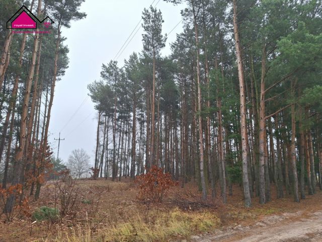 dom wolnostojący, 2 pokoje Chmielnik. Zdjęcie 13