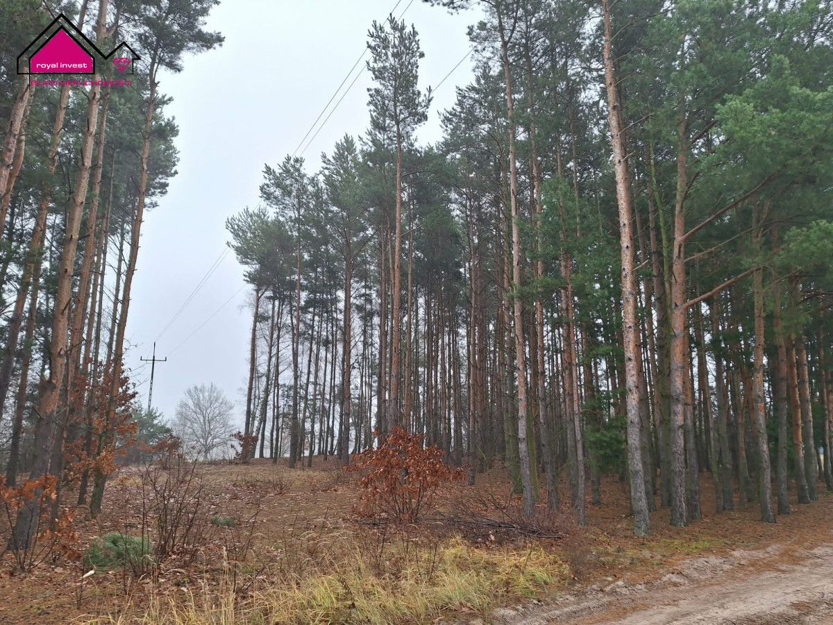 dom wolnostojący, 2 pokoje Chmielnik. Zdjęcie 13