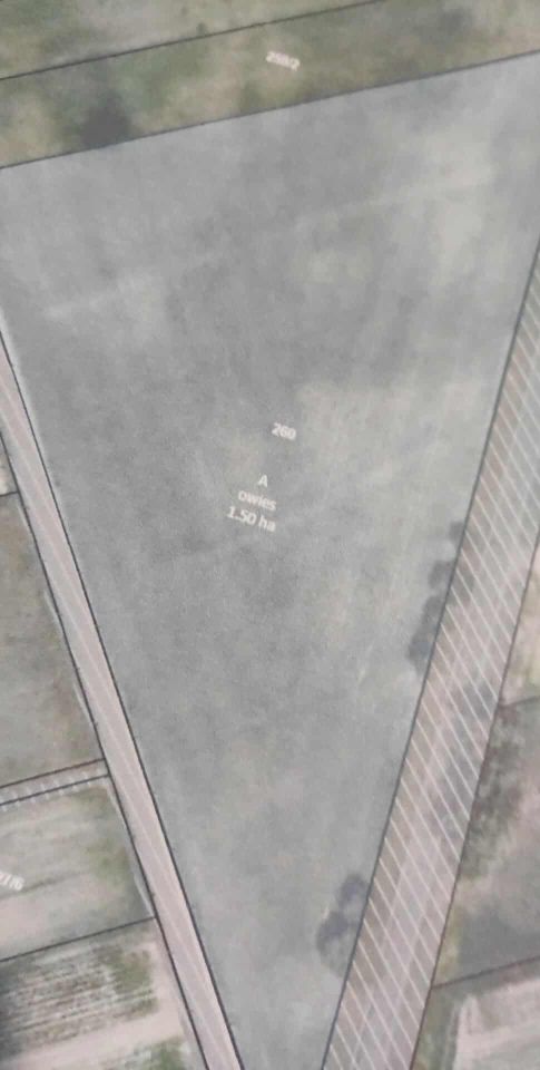 Działka rolna Kolechowice. Zdjęcie 3