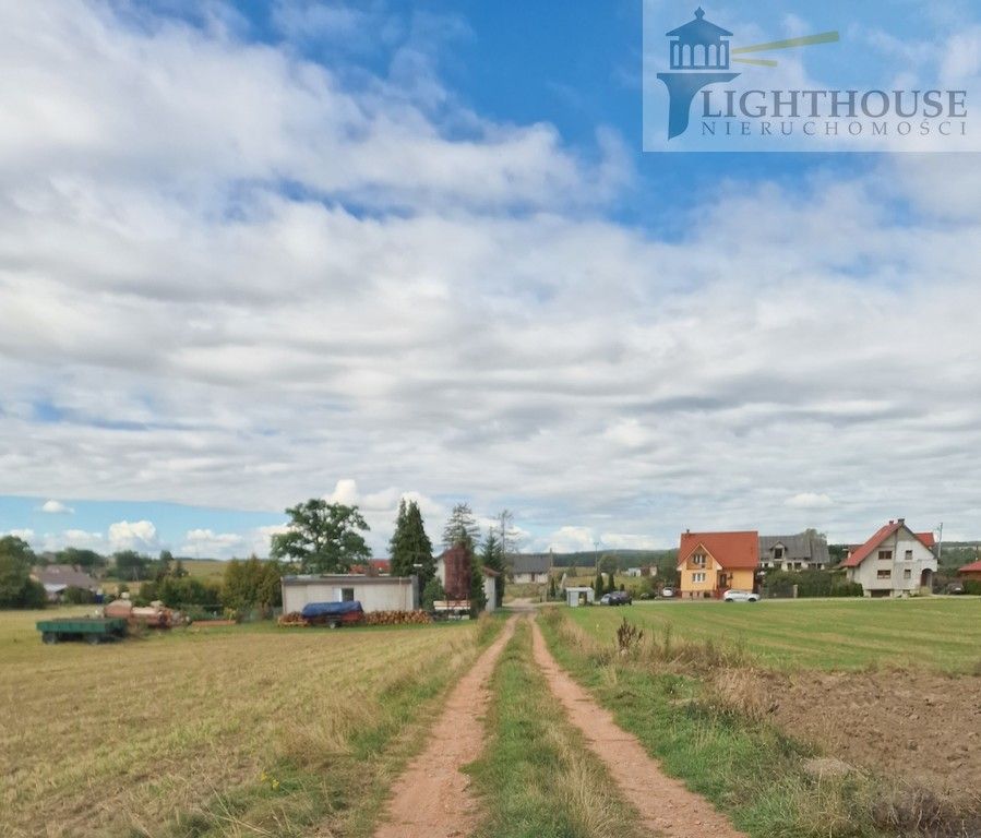 Działka siedliskowa Ełganowo. Zdjęcie 4