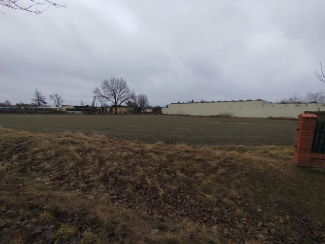 Działka rolna Bierzglinek, Bukowa. Zdjęcie 1