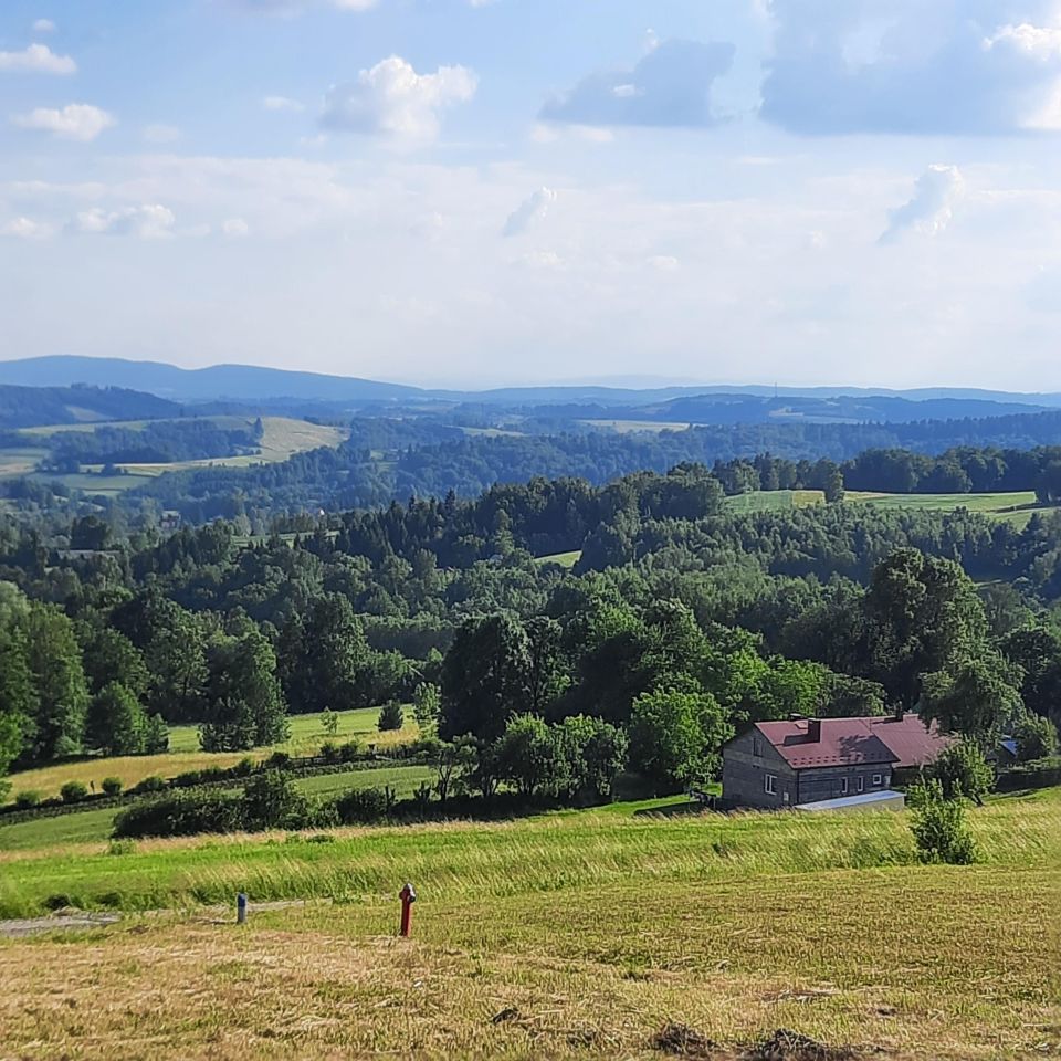 Działka budowlana Głobikowa. Zdjęcie 4