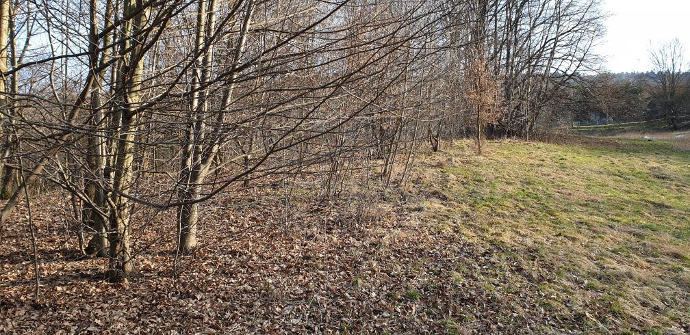 Działka rolna Tarnawa Dolna. Zdjęcie 3