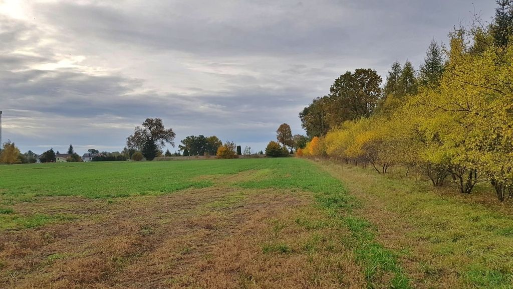 Działka budowlana Przedecz. Zdjęcie 6