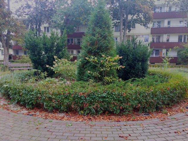 Mieszkanie 2-pokojowe Warszawa Saska Kępa. Zdjęcie 1