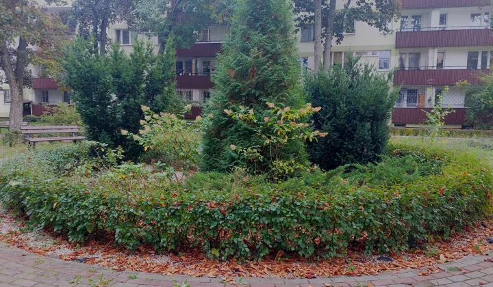 Mieszkanie 2-pokojowe Warszawa Saska Kępa