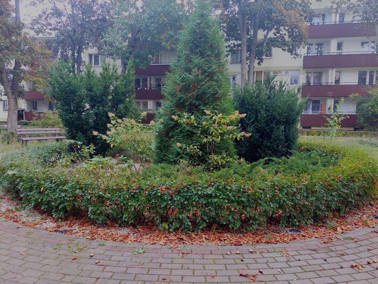 Mieszkanie 2-pokojowe Warszawa Saska Kępa. Zdjęcie 1