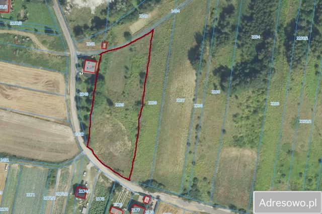 Działka budowlana Proszowice, ul. Biały Krzyż. Zdjęcie 1