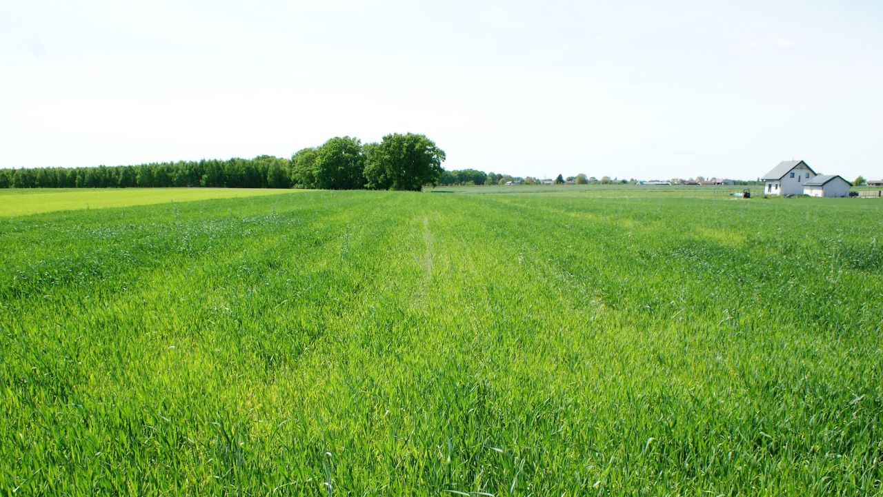 Działka budowlana Wygoda Smoszewska. Zdjęcie 2