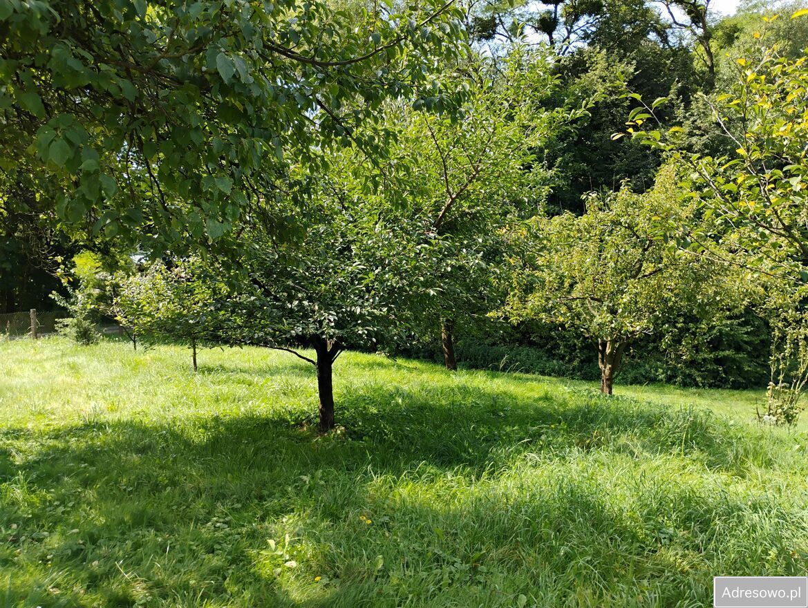 Działka budowlana Góra Świętej Anny. Zdjęcie 10