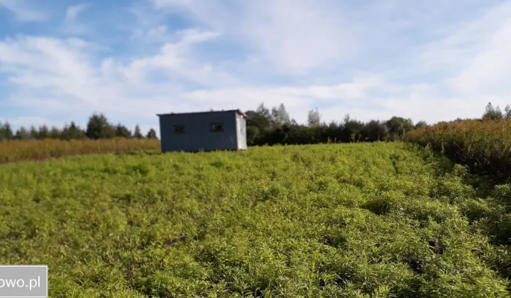 Działka budowlana Swoboda