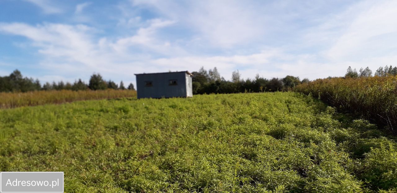 Działka budowlana Swoboda. Zdjęcie 1
