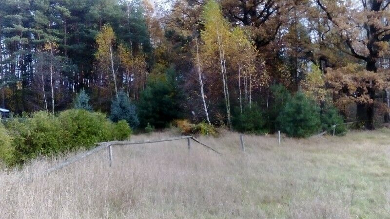 Działka rekreacyjna Knapówka. Zdjęcie 5