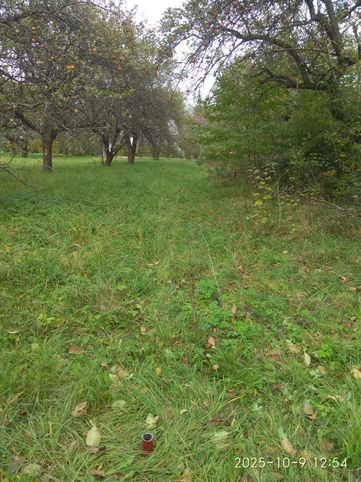 Nieruchomość komercyjna Lipinki. Zdjęcie 6