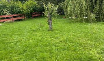 Działka rod Brodnica, ul. Sienkiewicza