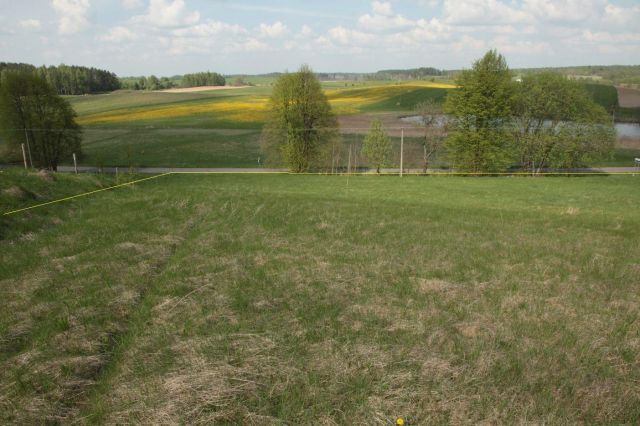 Działka rolno-budowlana Jędrychowo. Zdjęcie 1