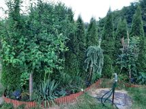 Działka inwestycyjna Sosnowiec. Zdjęcie 3