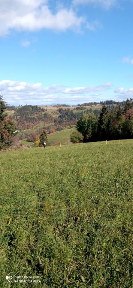 Działka rolna Leśnica. Zdjęcie 4