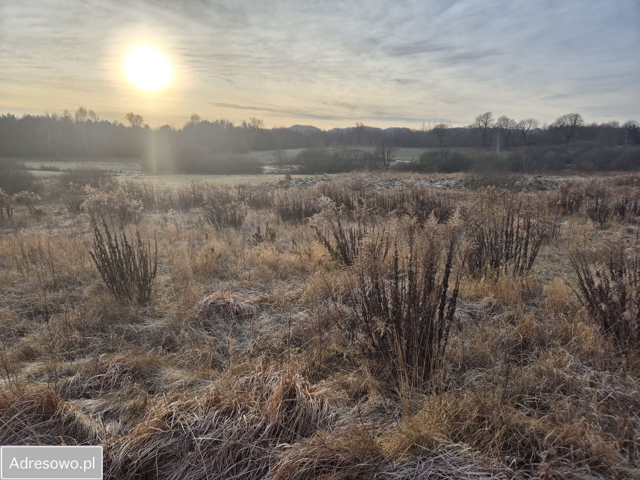 Działka rolno-budowlana Kielno, ul. Matejki. Zdjęcie 6