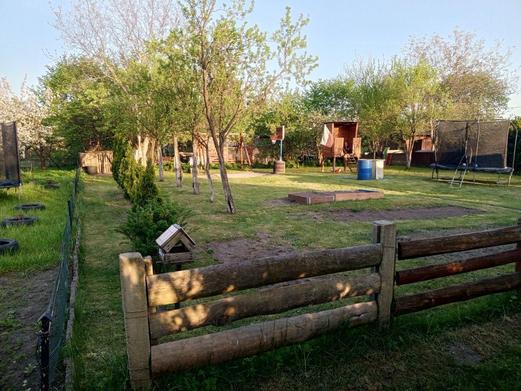 Działka rod Działdowo. Zdjęcie 2