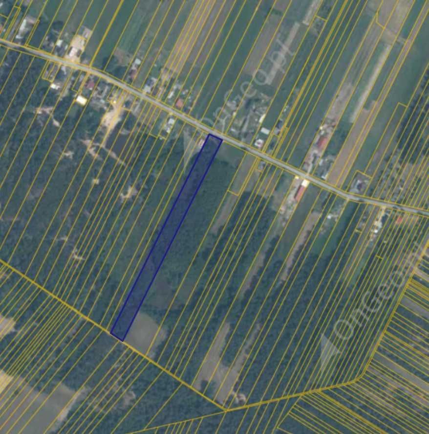 Działka rolno-budowlana Grabina. Zdjęcie 5