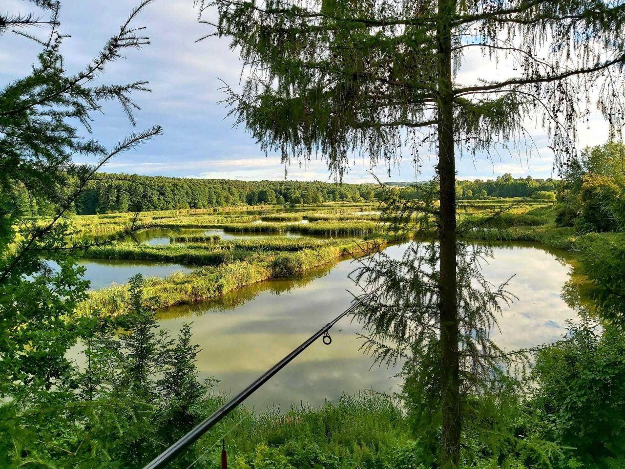 Działka rolna Wielobycz. Zdjęcie 8