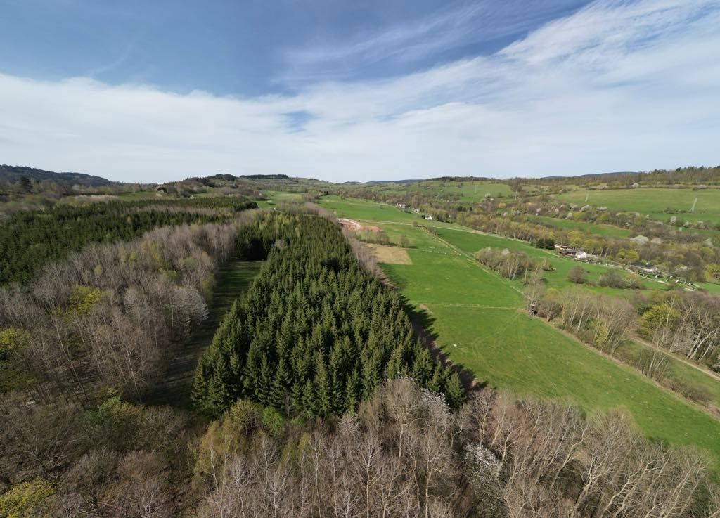 Działka rolno-budowlana Sokolica. Zdjęcie 5